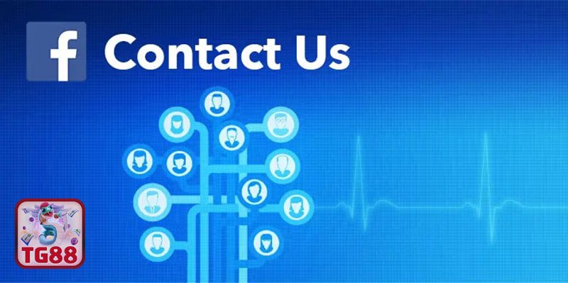 Liên Hệ TG88 - 4 phương thức Liên Hệ TG88 phổ biến và hiệu quả Liên Hệ TG88 - 4 phương thức Liên Hệ TG88 phổ biến và hiệu quả