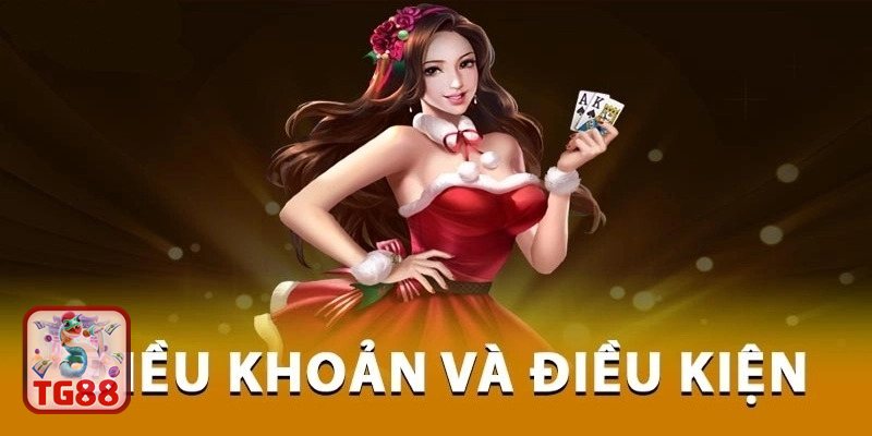 Điều Khoản Điều Kiện TG88 - Phạm vi áp dụng và đối tượng bảo vệ Điều Khoản Điều Kiện TG88 - Quy định tổng quan về dịch vụ