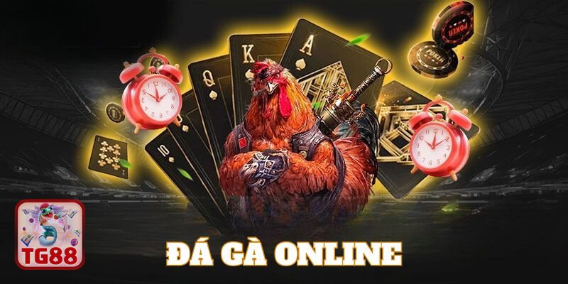 Đá Gà TG88 - Giao diện thân thiện, dễ thao tác Đá Gà TG88 - Giao diện thân thiện, dễ thao tác