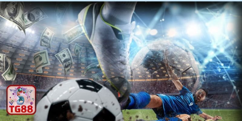 Thể thao SBO - Vì sao thương hiệu này được nhiều người nhắc đến?